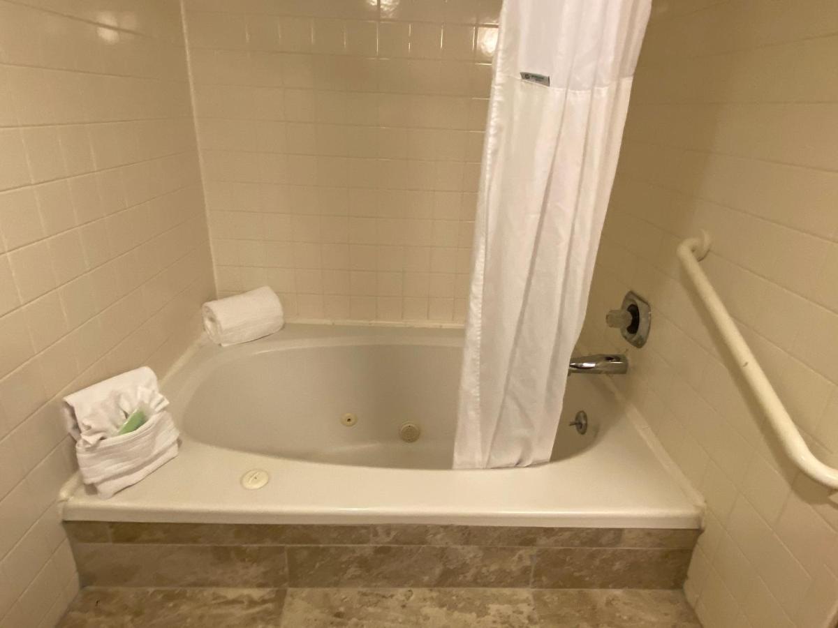 Studio Suite Two Queen Beds Non-Smoking,1186259584:JPEG