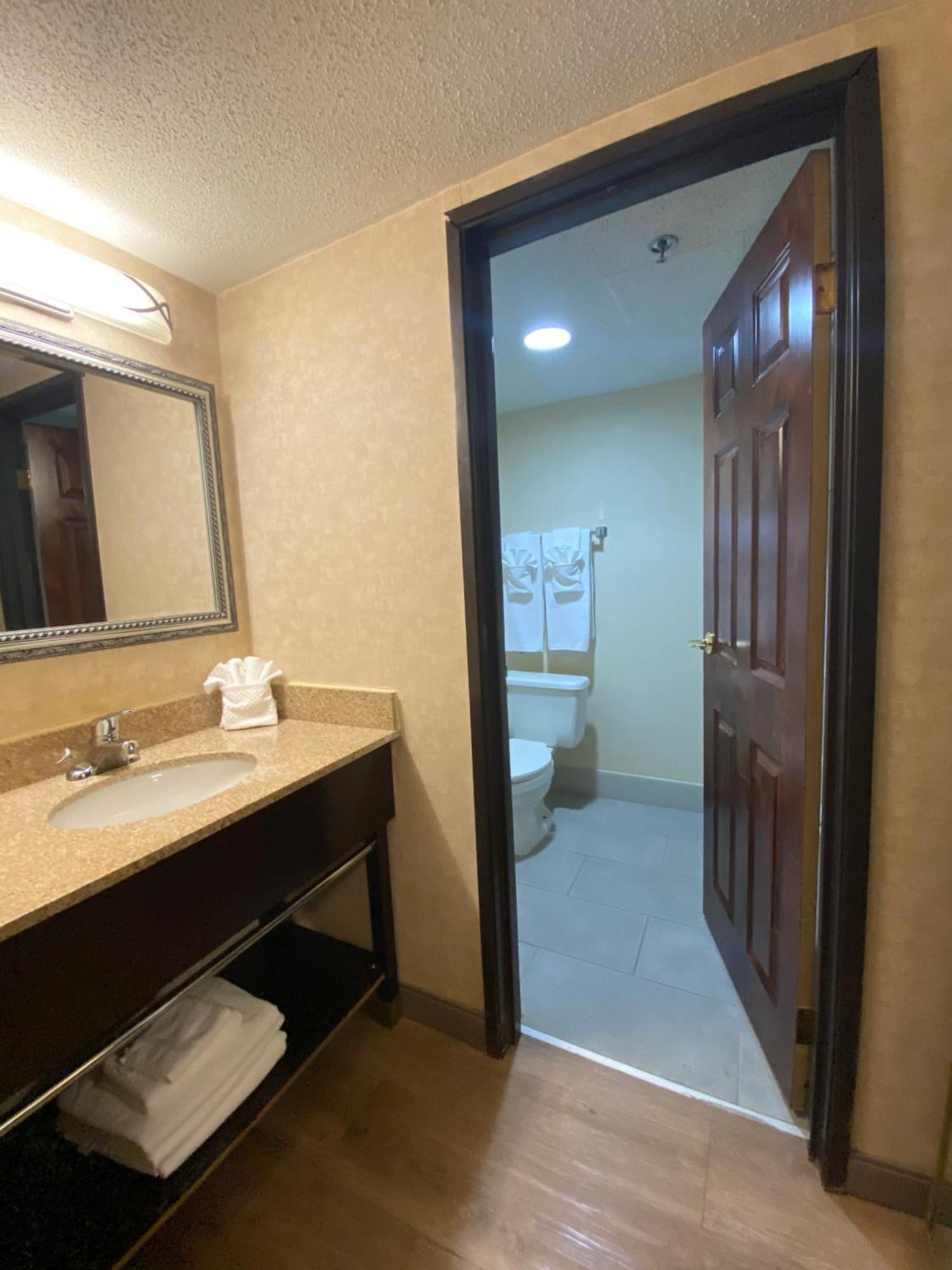 Standard King Room,1186268263:JPEG